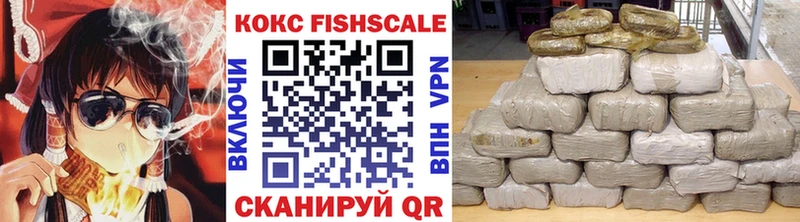 площадка как зайти  Ковылкино  Кокаин Fish Scale 