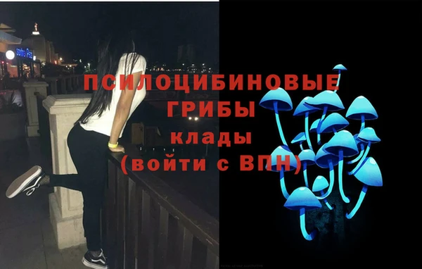 ECSTASY Алексеевка