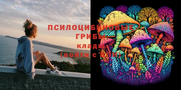 ECSTASY Алексеевка