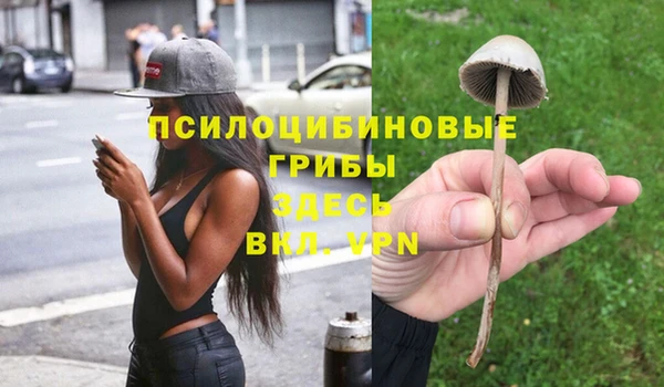 прущая мука Алексин